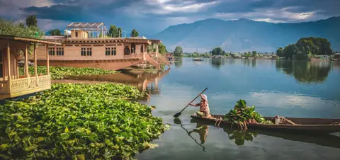 A boatman rowing a shikara on Dal Lake A boatman rowing a shikara on Dal Lake
