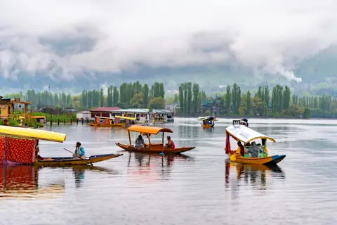 Colourful shikaras gliding across Dal Lake in Srinagar Colourful shikaras gliding across Dal Lake in Srinagar