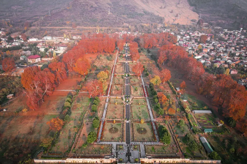 Nishat Bagh seen from above, its chinar trees red in autumn Nishat Bagh seen from above, its chinar trees red in autumn