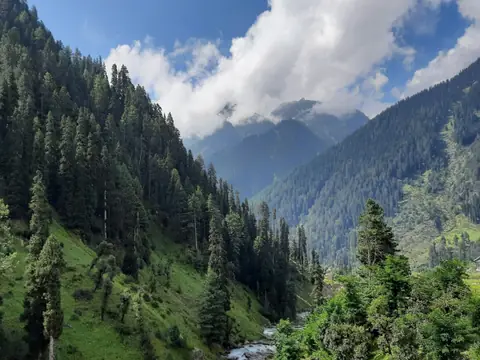 A river winding through a forested valley in Kashmir A river winding through a forested valley in Kashmir